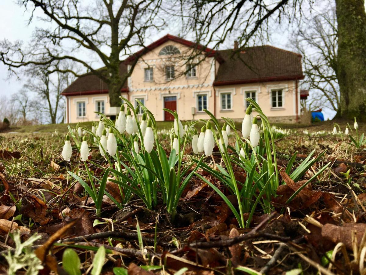 Bear Manor Lacu Muizina Pāle Exteriér fotografie