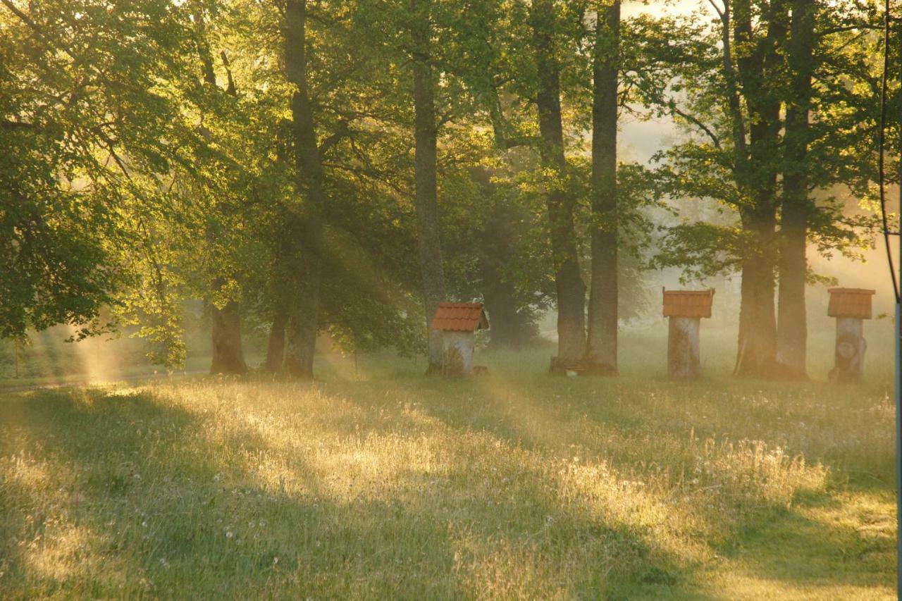 Bear Manor Lacu Muizina Pāle Exteriér fotografie
